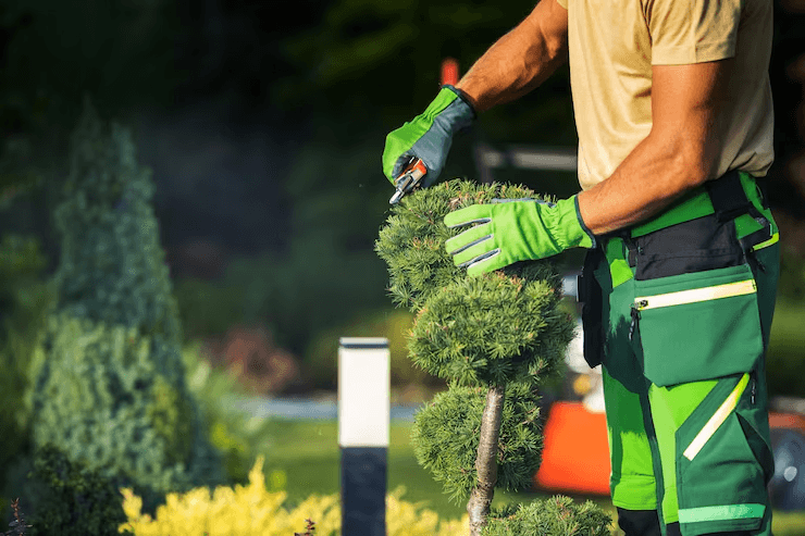 Gardening